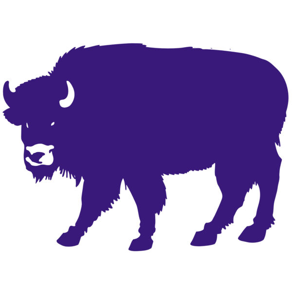 AR BUFF 23 RC Thumbnail