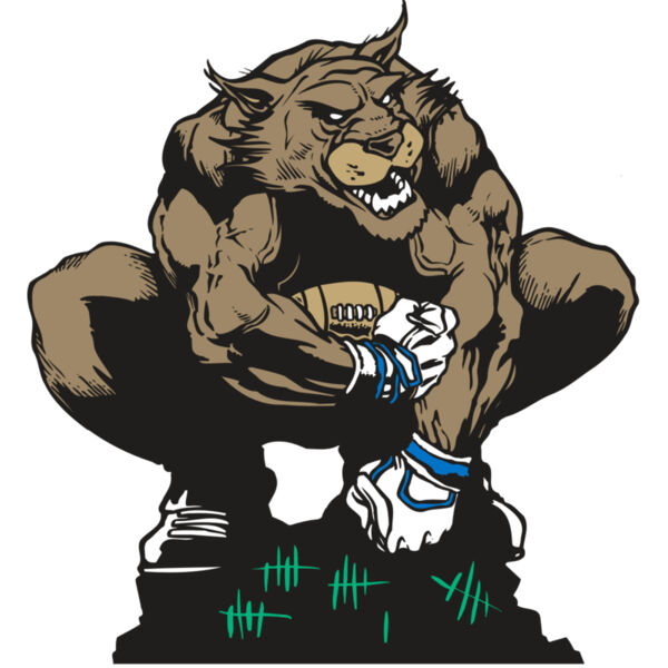 AR WILDCAT 34 RC Thumbnail