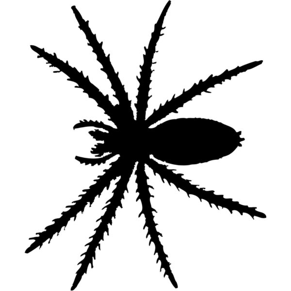 Spider Silhouette 6 Thumbnail