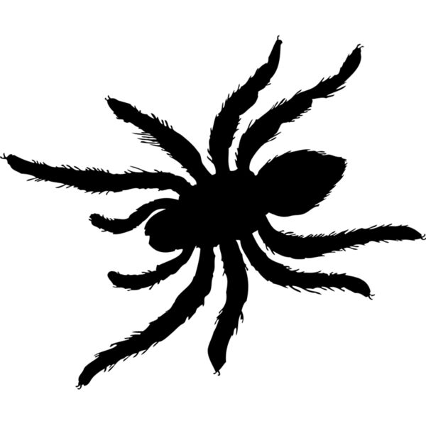 Spider Silhouette 10 Thumbnail