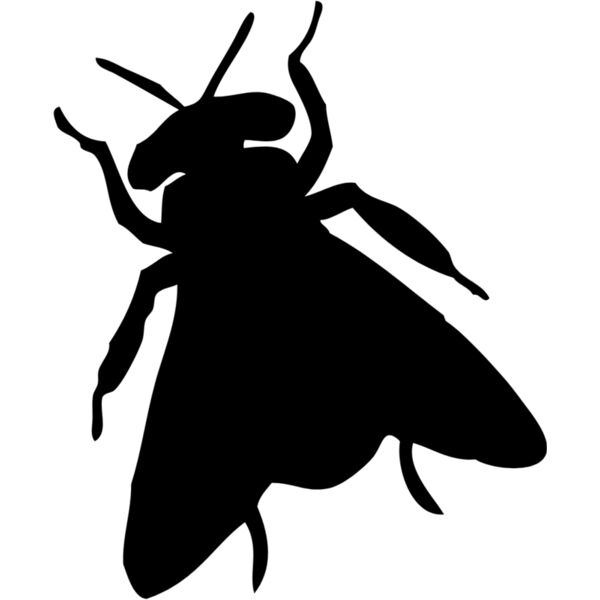 Fly Silhouette 5 Thumbnail