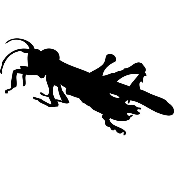 Bug Silhouette 14 Thumbnail