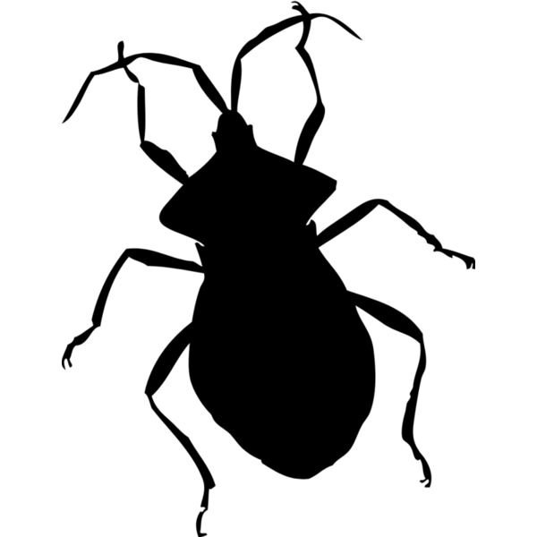 Bug Silhouette 15 Thumbnail