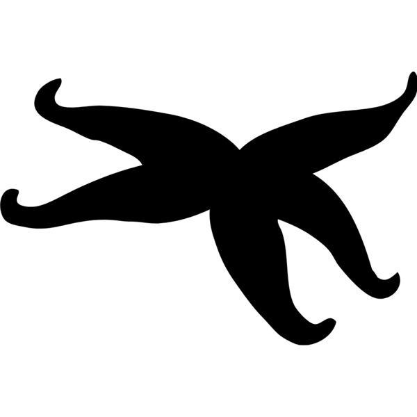 Starfish Silhouette 3 Thumbnail