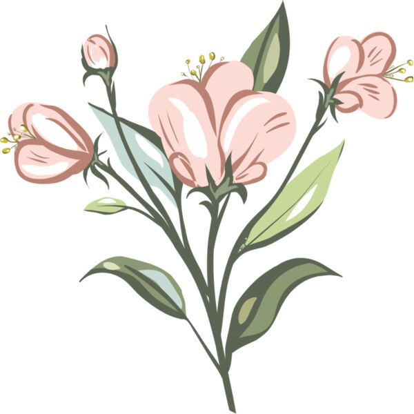 Pink Roses Flower 6 Thumbnail