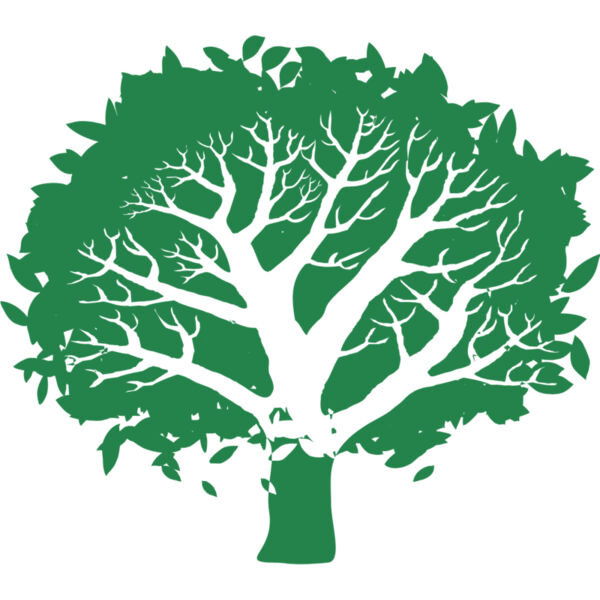 Summer Tree 8 Thumbnail