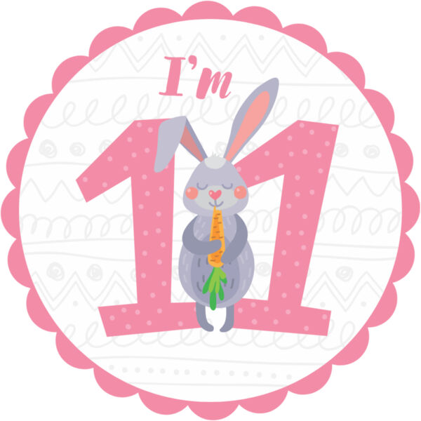 Eleven Birthday Animal Rabbit Number 1 Thumbnail