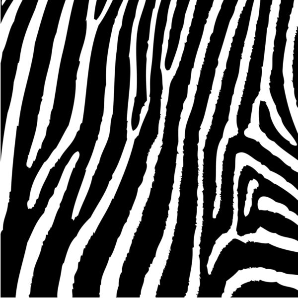Tiger Print Stripes Background 4 Thumbnail